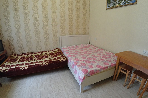 Фото 9. Однокомнатный дом в шаге от парка Фрунзе и аквапарка 